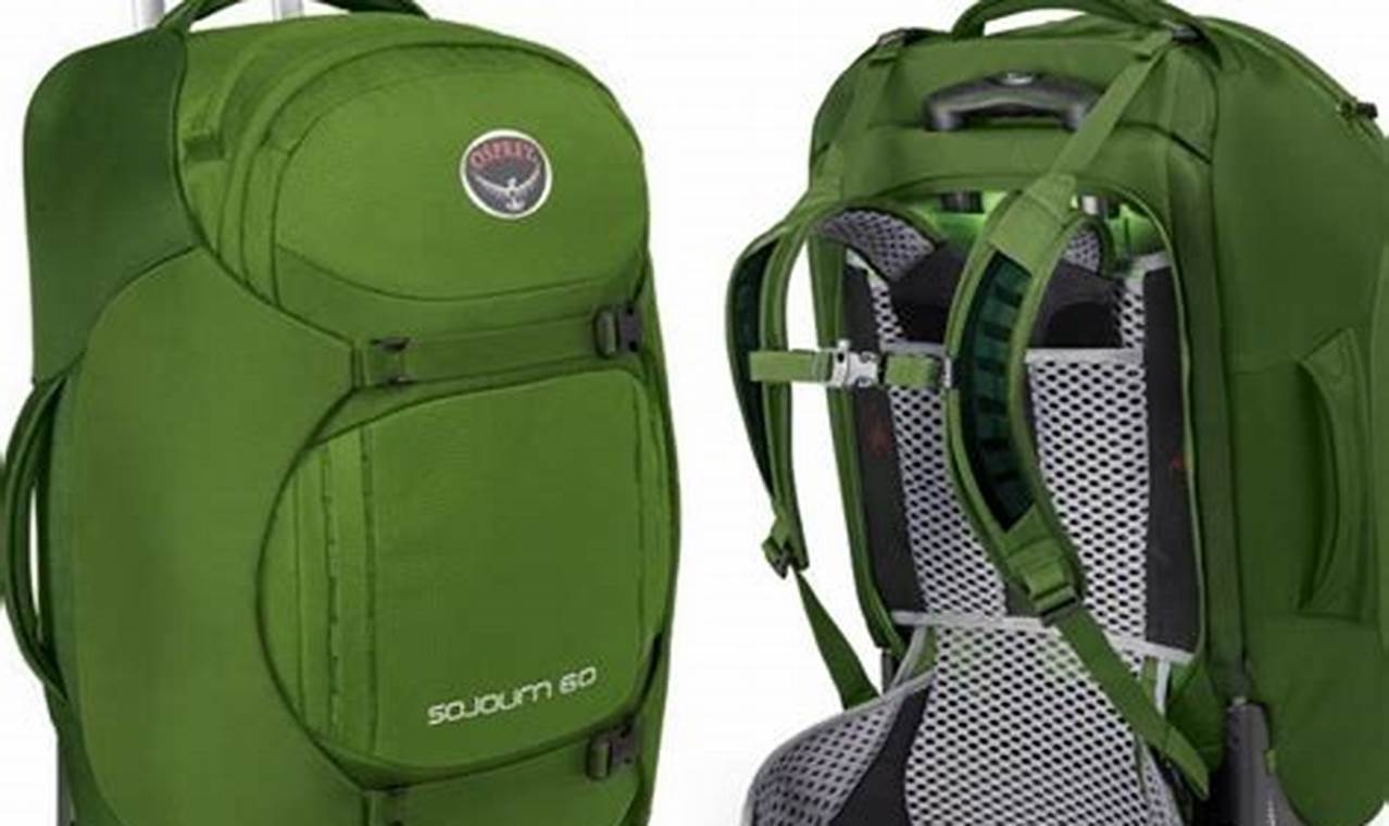 Top-Rated Rolling Backpacks for Travel: Your Best Travel Buddy | Best Travel Tips for Adventurers: Explore the World on a Budget