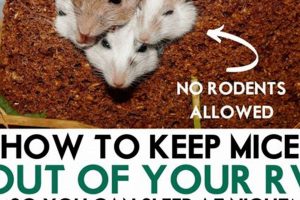Mice Be Gone! How to Keep Mice Out of Your Travel Trailer (Tips) | Best Travel Tips for Adventurers: Explore the World on a Budget