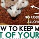 Mice Be Gone! How to Keep Mice Out of Your Travel Trailer (Tips) | Best Travel Tips for Adventurers: Explore the World on a Budget