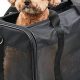 Best Pet Travel Bag Guide: Comfort & Safety! | Best Travel Tips for Adventurers: Explore the World on a Budget