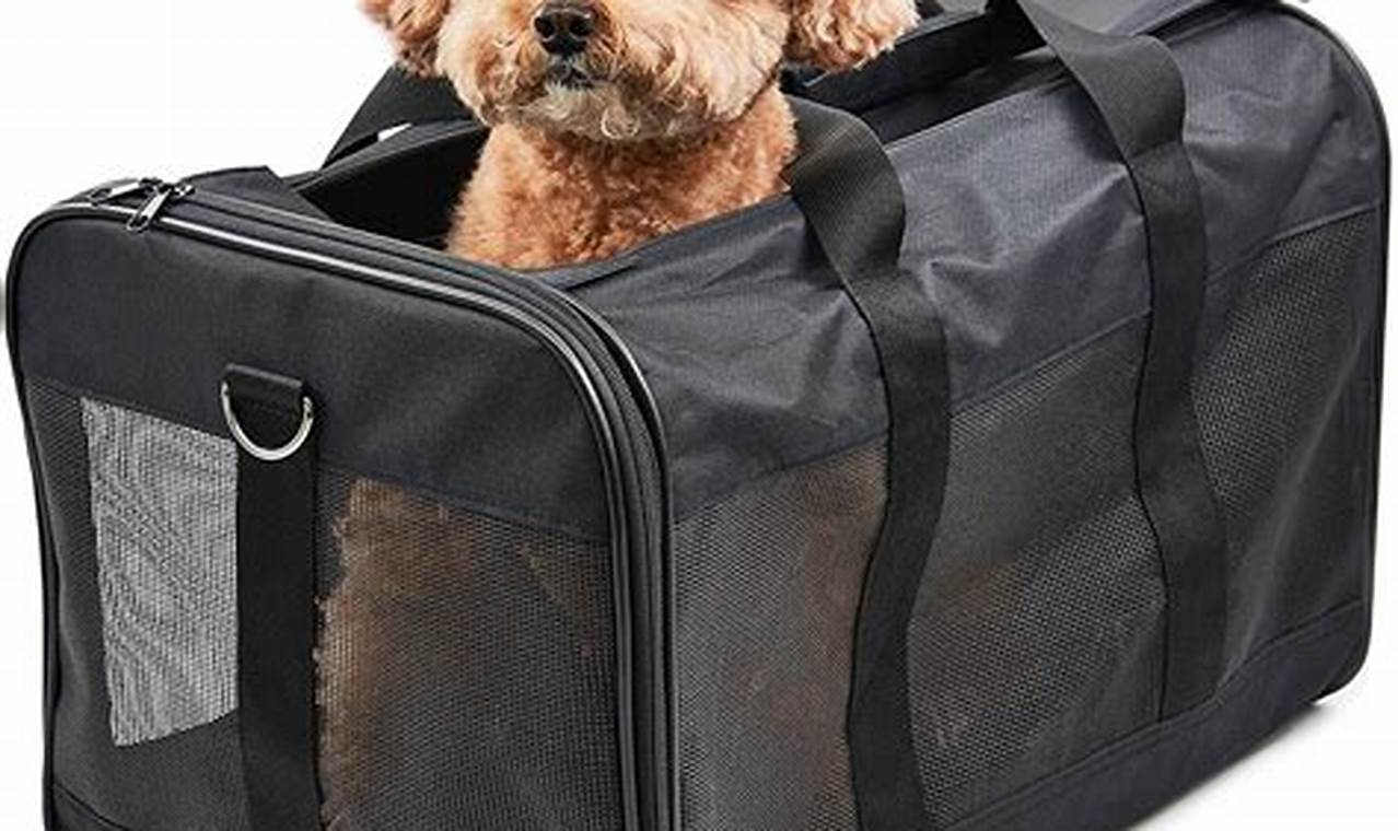 Best Pet Travel Bag Guide: Comfort & Safety! | Best Travel Tips for Adventurers: Explore the World on a Budget