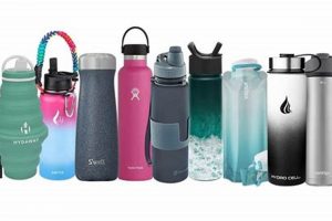 Top-Rated: Best Water Bottle for Travel On The Go! Best Travel Tips for Adventurers: Explore the World on a Budget Top-Rated: Best Water Bottle for Travel On The Go! | Best Travel Tips for Adventurers: Explore the World on a Budget