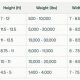 Travel Trailer Lengths Guide: Sizes & What To Know | Best Travel Tips for Adventurers: Explore the World on a Budget