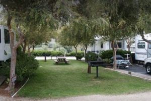 Bay Pines Travel Trailer Park: Your Gulf Coast Escape! | Best Travel Tips for Adventurers: Explore the World on a Budget