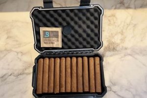 Top-Rated Best Travel Humidor for Cigar Trips | Best Travel Tips for Adventurers: Explore the World on a Budget