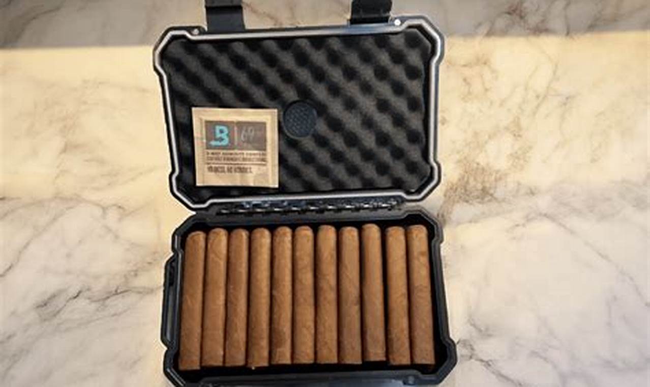 Top-Rated Best Travel Humidor for Cigar Trips | Best Travel Tips for Adventurers: Explore the World on a Budget