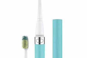 Portable Power: Best Travel Electric Toothbrush On-the-Go | Best Travel Tips for Adventurers: Explore the World on a Budget